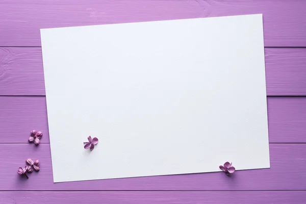 Lilac background for text and design — Stock Photo, Image