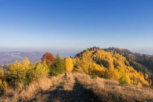 Outono paisagem com uma estrada nas montanhas — Fotografia de Stock