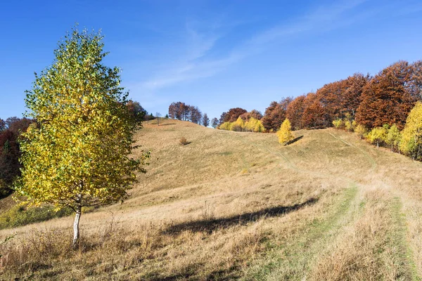 Outono paisagem com uma estrada nas montanhas — Fotografia de Stock