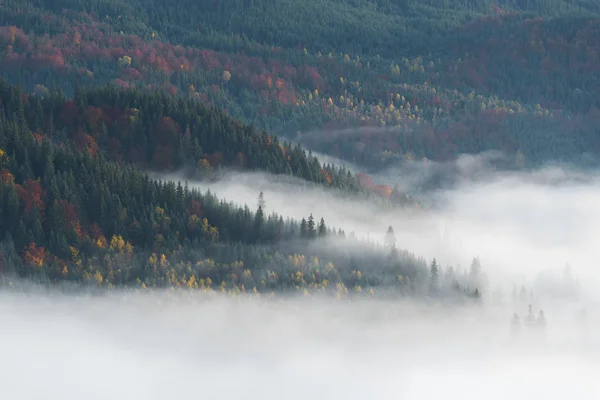 Herfst landschap met mist in de bergen — Stockfoto