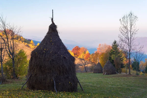 Trockenes Heu auf einer Bergwiese stapeln — Stockfoto