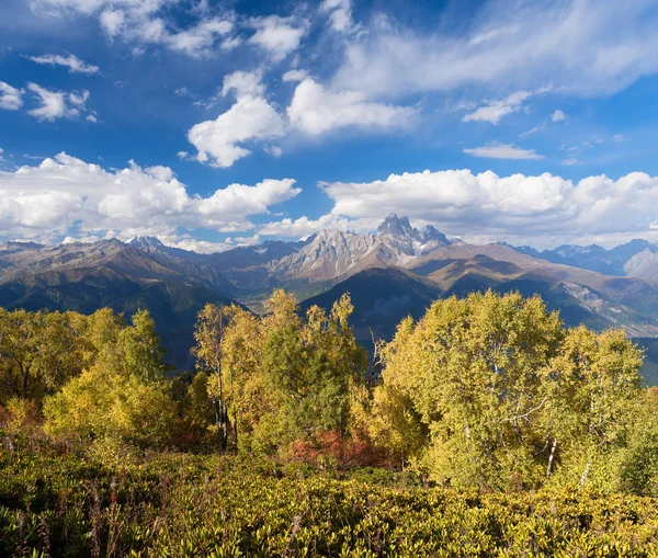 Paisagem de Outono com vista para o topo da montanha — Fotografia de Stock