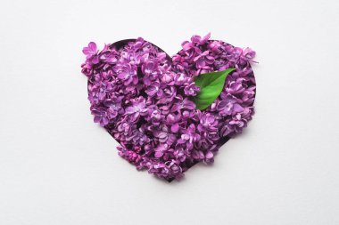 Dekoratif kalp Lila çiçek yaptı