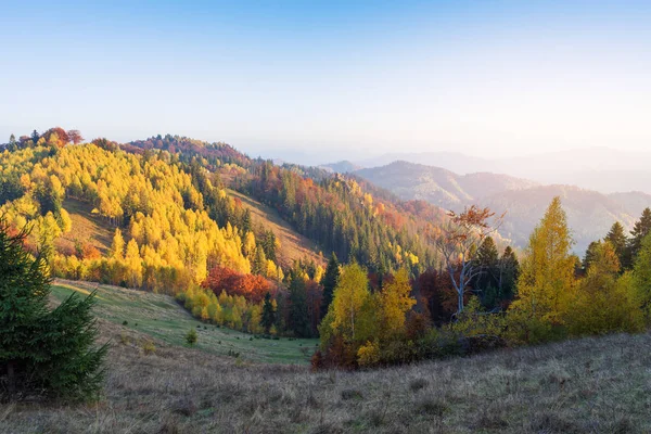 Orman yamaçlarda, sonbahar yatay