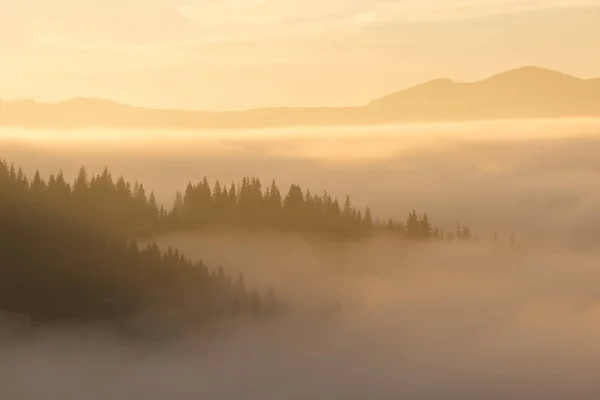 Ochtend herfst mist in de bergen — Stockfoto