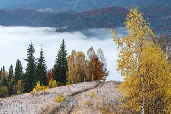 Podzimní krajina v horách — Stock fotografie