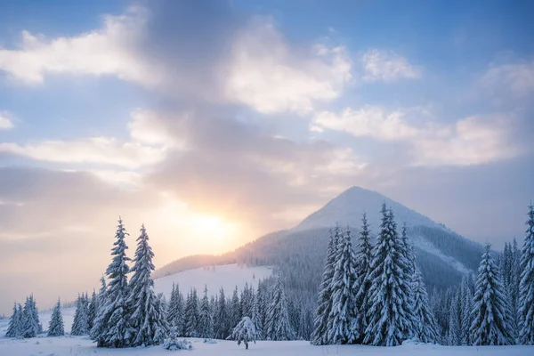 Paisaje invernal con un amanecer en montañas — Foto de Stock