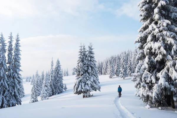 Caminando en el bosque de invierno — Foto de Stock