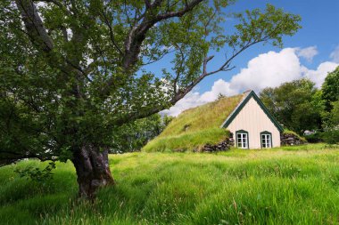Çim kilise Hofskirkja, İzlanda 