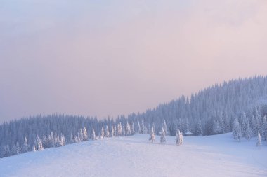 Gün batımında kış dağlarda Noel peyzaj