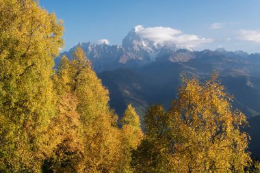Sonbahar yatay, huş ağacı orman ve dağ