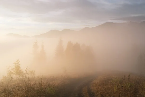 Huomenta syksyllä sumu vuorilla — kuvapankkivalokuva