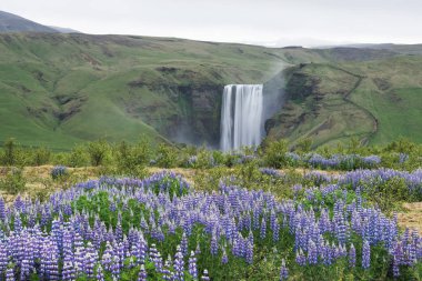Skogafoss şelale, İzlanda manzara