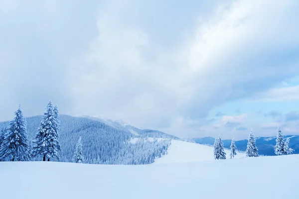 Paesaggio natalizio con abete rosso in montagna — Foto Stock