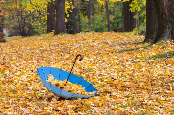 Blauwe paraplu met herfstbladeren — Stockfoto