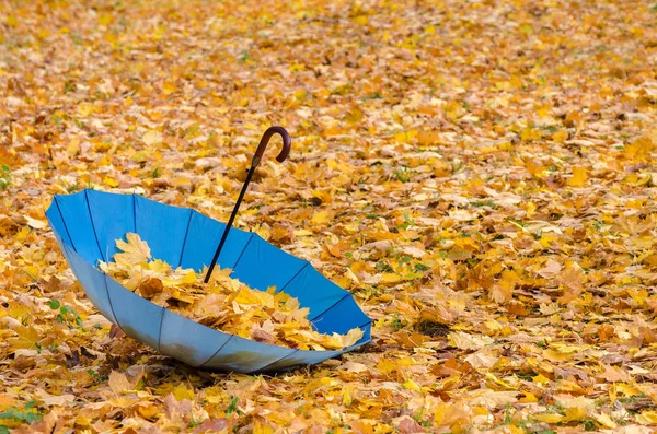 Herfst achtergrond met paraplu — Stockfoto