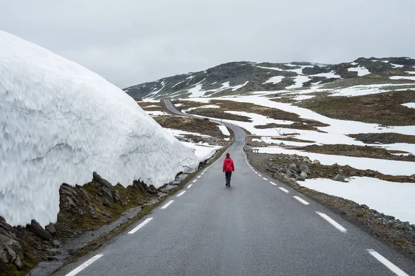 Ruta panorámica noruega Aurlandsfjellet — Foto de Stock