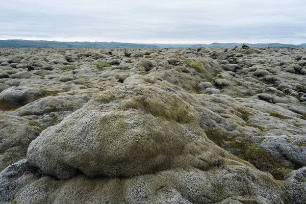 Campo de lava en Islandia —  Fotos de Stock