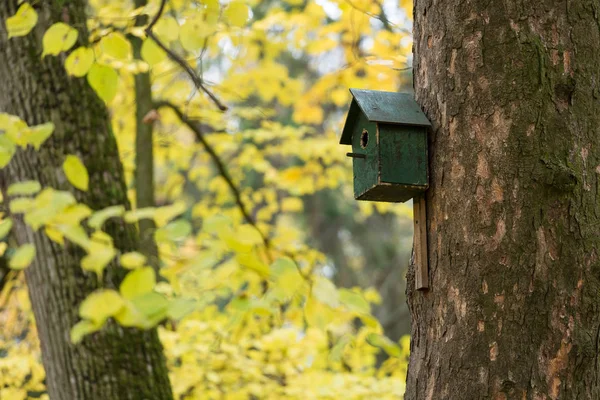 Fuglehus i parken – stockfoto