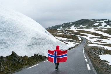 Girl with a Norwegian flag on a snowy road in Norway clipart