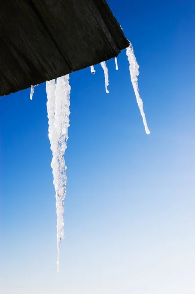 Icicles against the sky — Stock Photo, Image