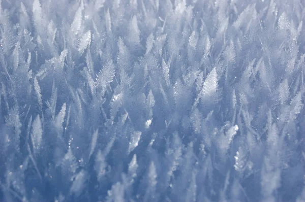 Textura de hoarfrost — Fotografia de Stock