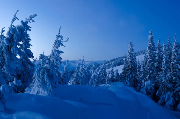 Paisagem de inverno em tons azuis — Fotografia de Stock