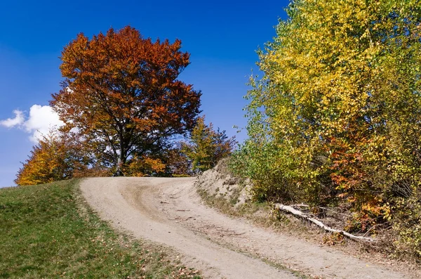 Paisaje de otoño con un camino — Foto de Stock