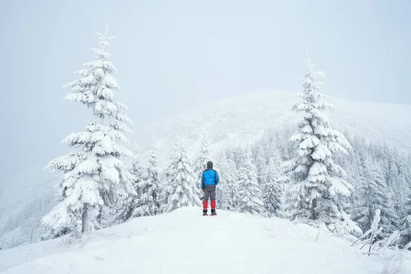 Senderismo de invierno en las montañas — Foto de Stock