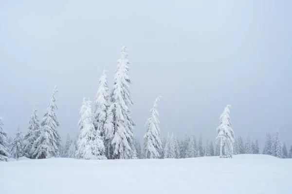 Pejzaż zimowy z mgłą w górach — Zdjęcie stockowe