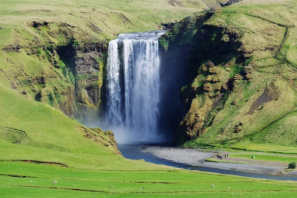 Skogafoss Şelalesi Yazın İzlanda 'da — Stok fotoğraf