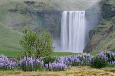 Skogafoss şelale, İzlanda manzara