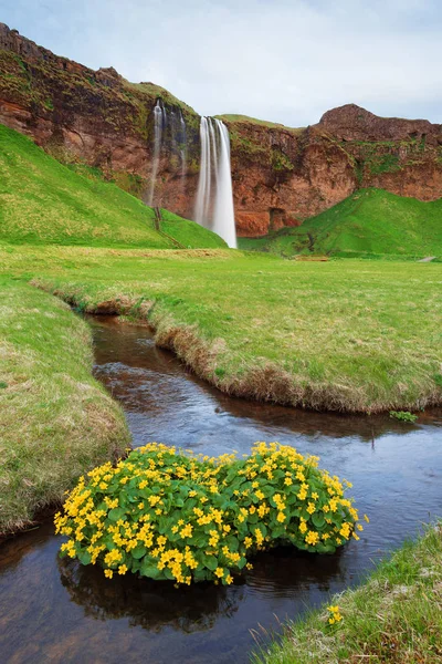 Paisagem incrível com cachoeira na Islândia — Fotografia de Stock