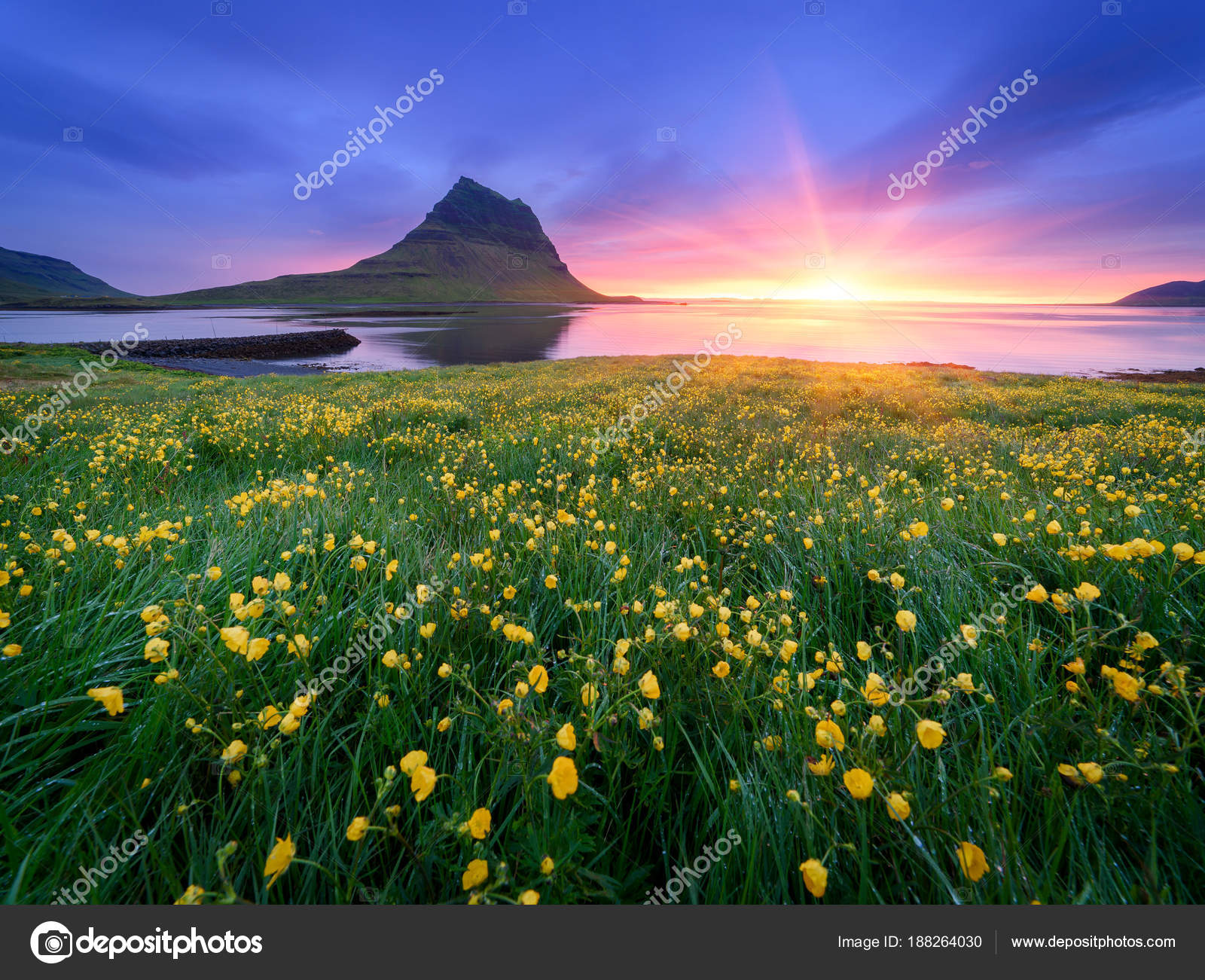 Flores marinas fotos de stock, imágenes de Flores marinas sin royalties | Depositphotos Flores marinas fotos de stock, imágenes de Flores marinas sin royalties | Depositphotos