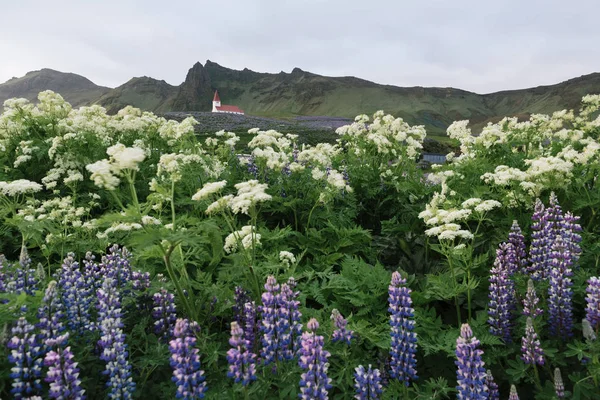 Kerk in de stad van Vik, IJsland — Stockfoto
