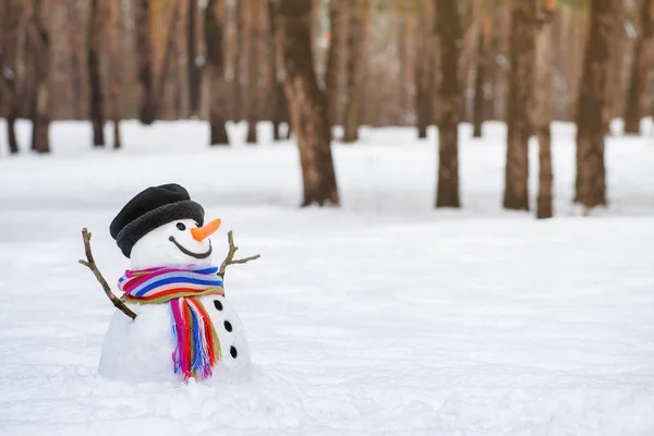 Winterwonderland met een grappige sneeuwpop — Stockfoto