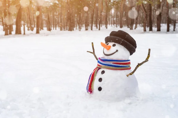 Χριστουγεννιάτικη σκηνή με έναν χαρούμενο χιονάνθρωπο στο πάρκο — Φωτογραφία Αρχείου