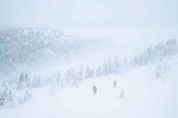 Vervelend winterweer met mist en slecht zicht — Stockfoto