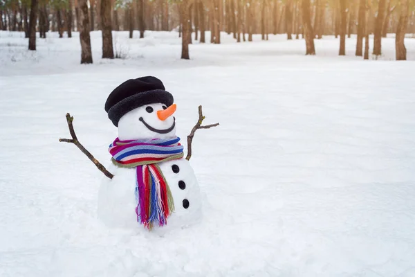 Boneco de neve no parque de inverno — Fotografia de Stock