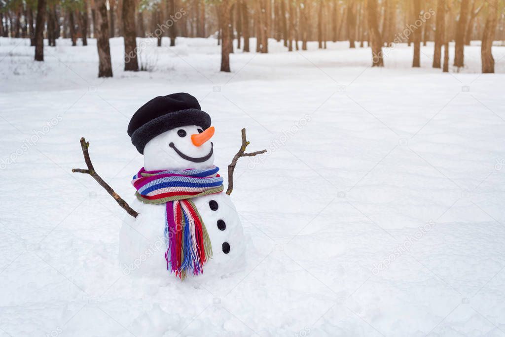 Snowman in winter park