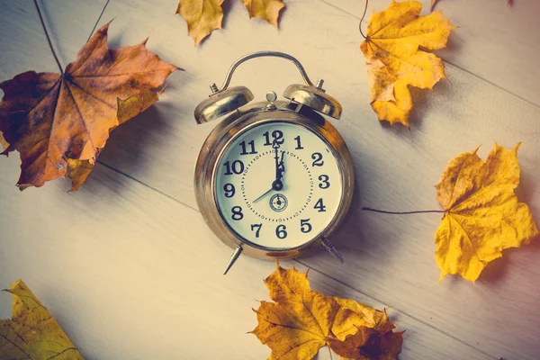 葉とビンテージの目覚まし時計 — ストック写真