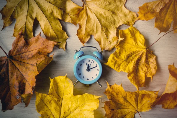 Vintage çalar saat yaprakları ile — Stok fotoğraf