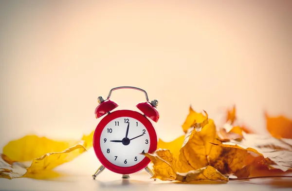 Relógio de alarme vintage com folhas — Fotografia de Stock