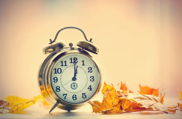 Vintage alarm clock with leaves — Stock Photo, Image