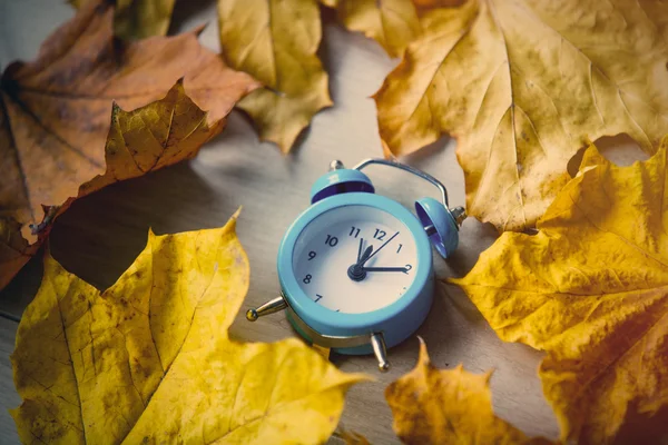 Reloj despertador vintage con hojas —  Fotos de Stock