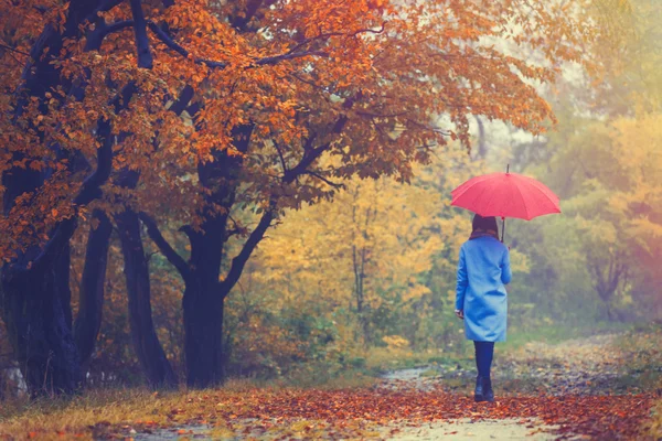 Girl with umbrella in autumn park — Stock Photo, Image