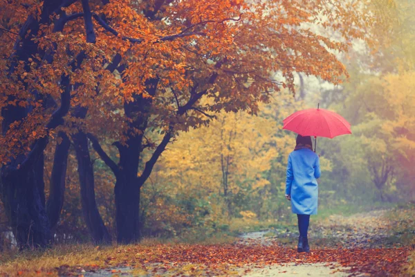 Fata cu umbrelă în parcul de toamnă — Fotografie, imagine de stoc