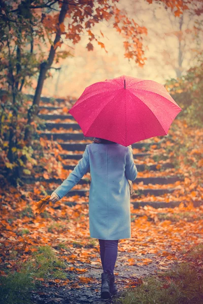 Girl with umbrella in autumn park — Stock Photo, Image