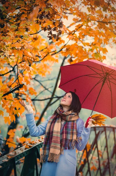 Fata cu umbrelă în parcul de toamnă — Fotografie, imagine de stoc
