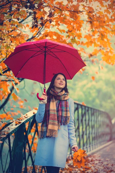 Menina com guarda-chuva no parque de outono — Fotografia de Stock